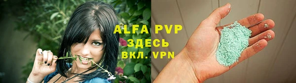 амф Карпинск