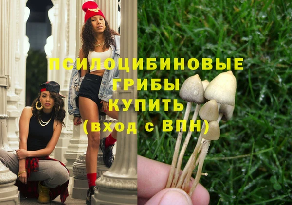 твердый Карталы